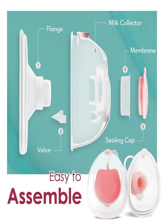 نينس سابلاي أكواب تجميع حليب الثدي القابلة للارتداء من نينيسبلاي، متوافقة مع مضخات الثدي إلفي سترايد سترايد 2. حواف سيليكون 24 مم، ملحقات قطع غيار المضخة، حشوات 19 مم و21 مم. - Image 4